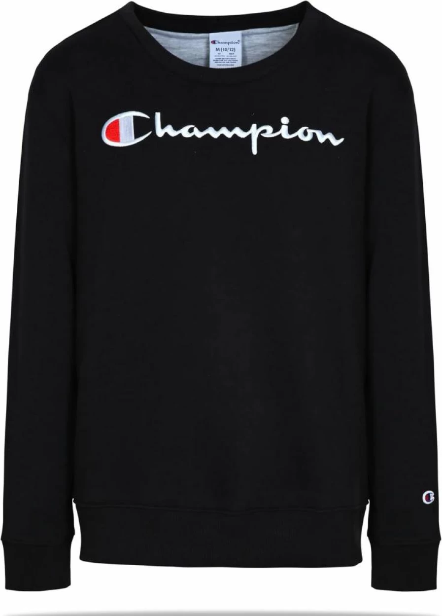Champion Kids Boys Fleece Crewneck Sweatshirt - Soft Pullover Sweater for Boys