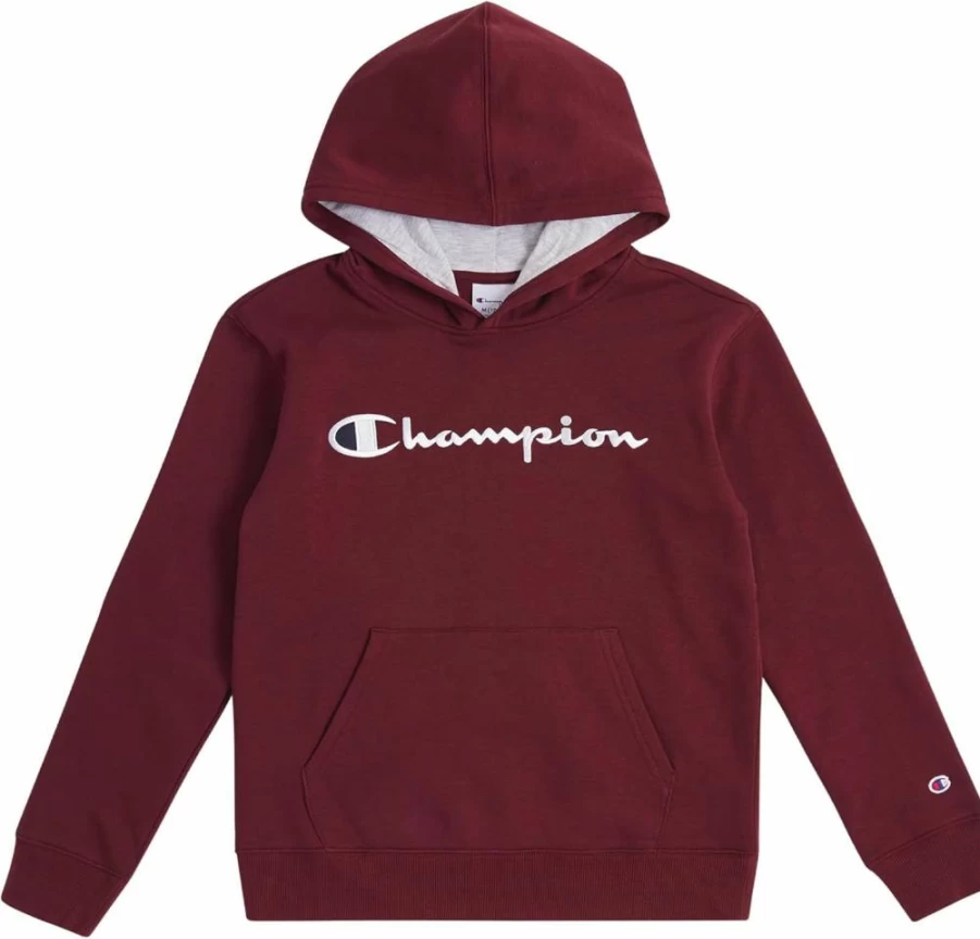 Champion Boys' Fleece Hooded Pullover Sweatshirt for Kids & Youth