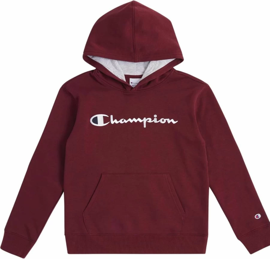 Champion Boys' Fleece Hooded Pullover Sweatshirt for Kids & Youth - Comfortable Hoodie