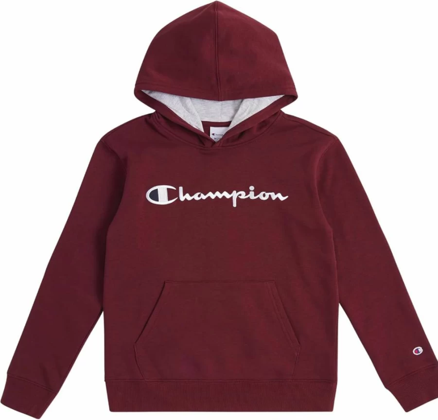 Champion Kids Hooded Sweatshirt - Boys Fleece Pullover Hoodie Youth Sizes